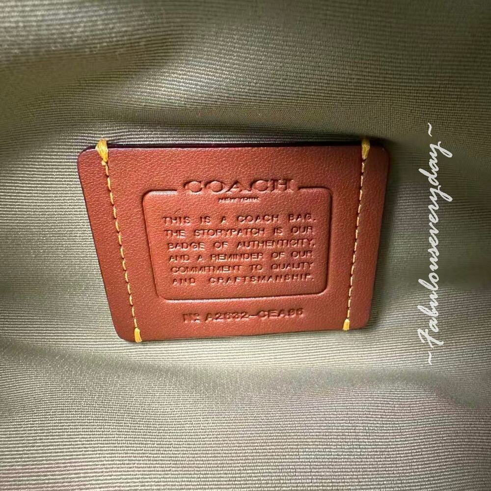 Coach Rowan Bucket Bag Crossbody In Signature Leather CEA96 Pistachio + Pouch - Picture 6 of 7